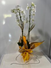 2 Dal Beyaz Orkide Sarı Buket Kağıtlı