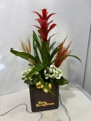 Guzmania ve Kalaonche Çiçeği Beton Saksıda