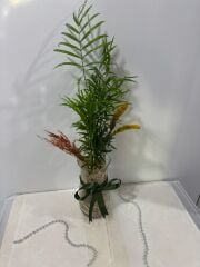 Silindir Cam Vazoda Chamadora Bitkisi Çiçeği