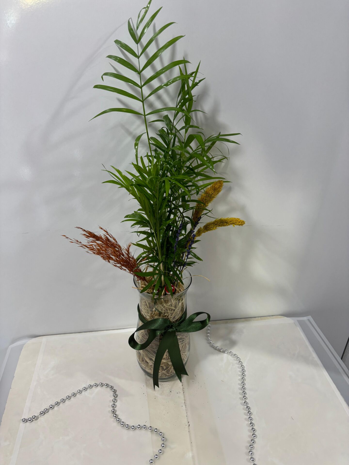 Silindir Cam Vazoda Chamadora Bitkisi Çiçeği