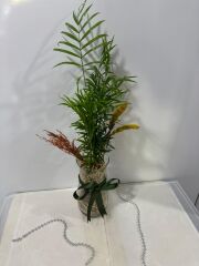 Silindir Cam Vazoda Chamadora Bitkisi Çiçeği