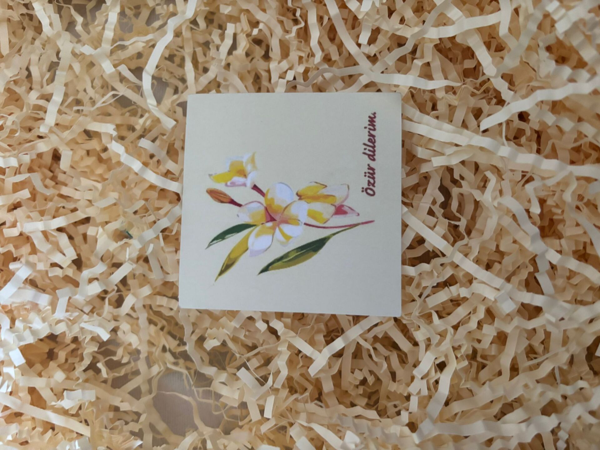 Özür Dilerim Pankart