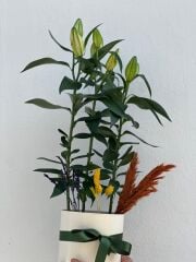 Saksıda Lilyum Çiçeği Beyaz Saksıda