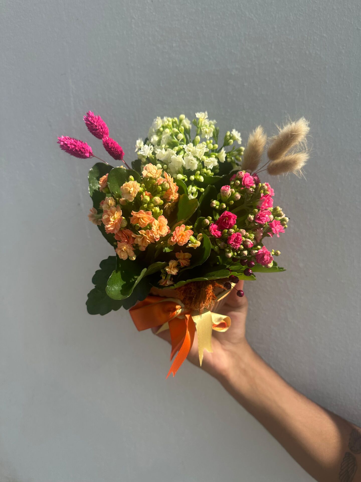 Kiremit Saksıda Üç Renk Kalaonche