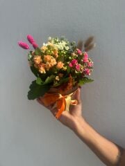 Kiremit Saksıda Üç Renk Kalaonche