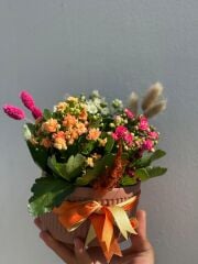 Kiremit Saksıda Üç Renk Kalaonche