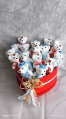 Kalpli Kutuda Ayıcıklar