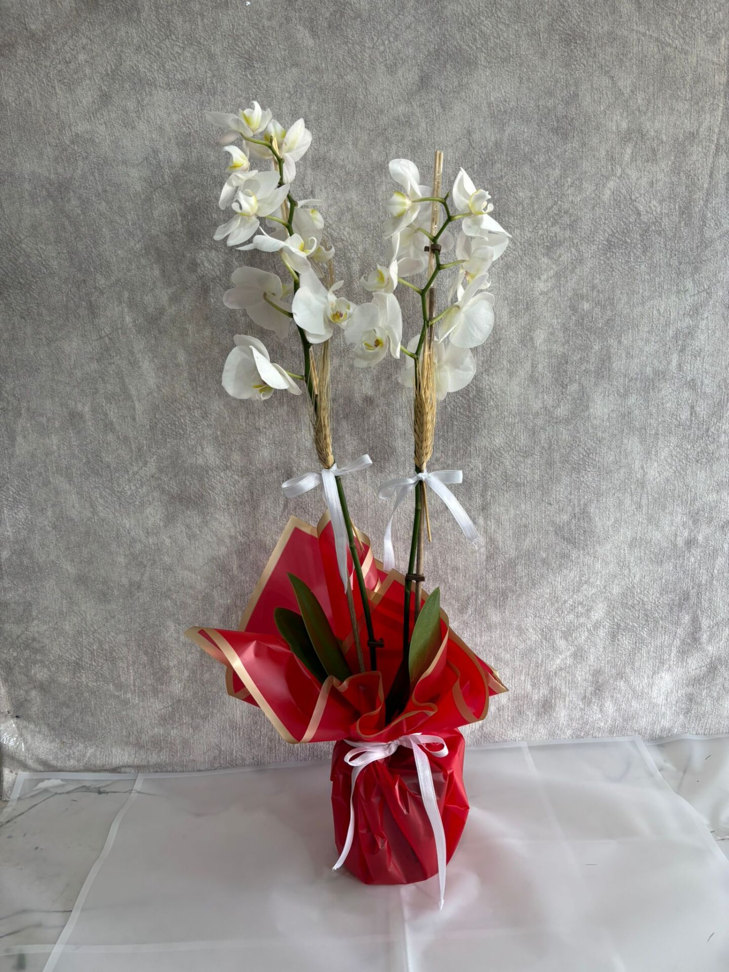 Çift Dal Beyaz Orkide Çiçeği Kırmızı Renkte Buket Kağıtta