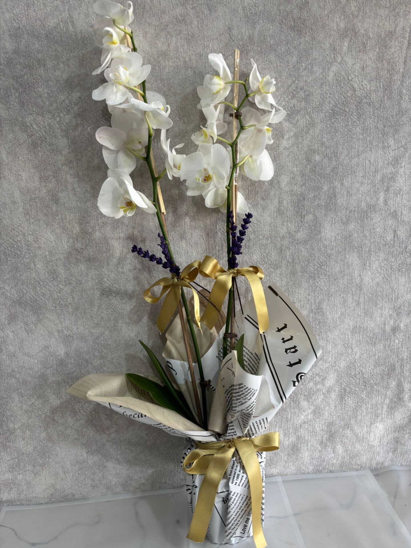 Çift Dal Beyaz Orkide Çiçeği Gazete Renkli Buket Kağıtta