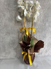 2 Dal Beyaz Orkide Çiçeği Kahverengi Renkli Buket Kağıtta