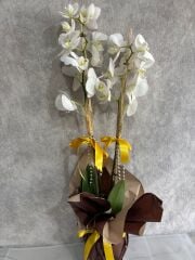 2 Dal Beyaz Orkide Çiçeği Kahverengi Renkli Buket Kağıtta