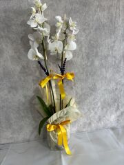 2 Dal  Beyaz Orkide Çiçeği Leopar Renkli Buket Kağıtta