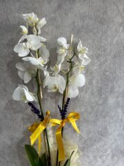 2 Dal  Beyaz Orkide Çiçeği Leopar Renkli Buket Kağıtta