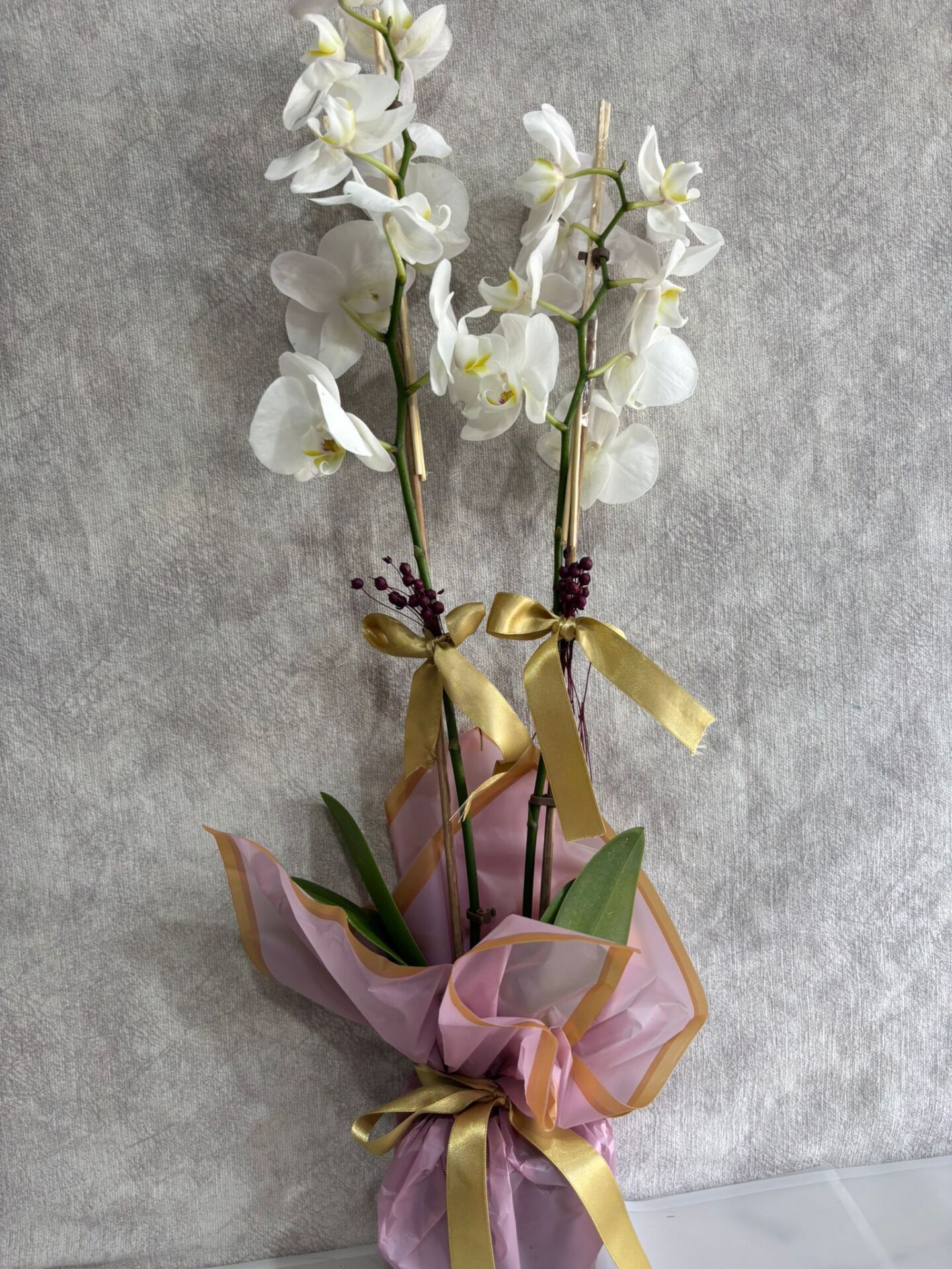 Pembe Buket Kağıdında 2 Dal Beyaz Orkide Çiçeği