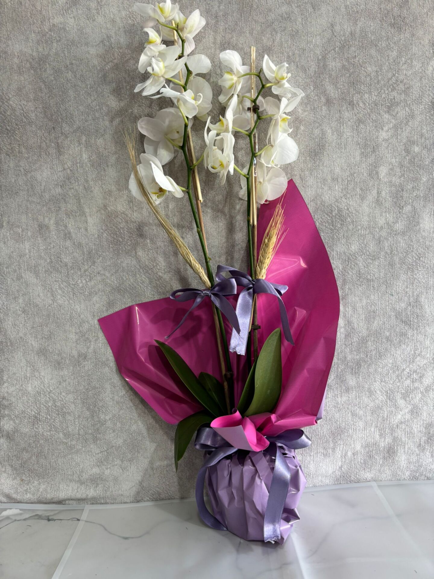 Çift Renkli Buket Kağıtta 2 Dal Beyaz Orkide Çiçeği