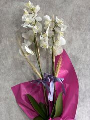 Çift Renkli Buket Kağıtta 2 Dal Beyaz Orkide Çiçeği