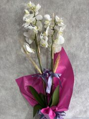 Çift Renkli Buket Kağıtta 2 Dal Beyaz Orkide Çiçeği