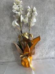 Sarı Renkli Buket Kağıtta 2 Dal Beyaz Orkide Çiçeği