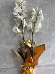 Sarı Renkli Buket Kağıtta 2 Dal Beyaz Orkide Çiçeği