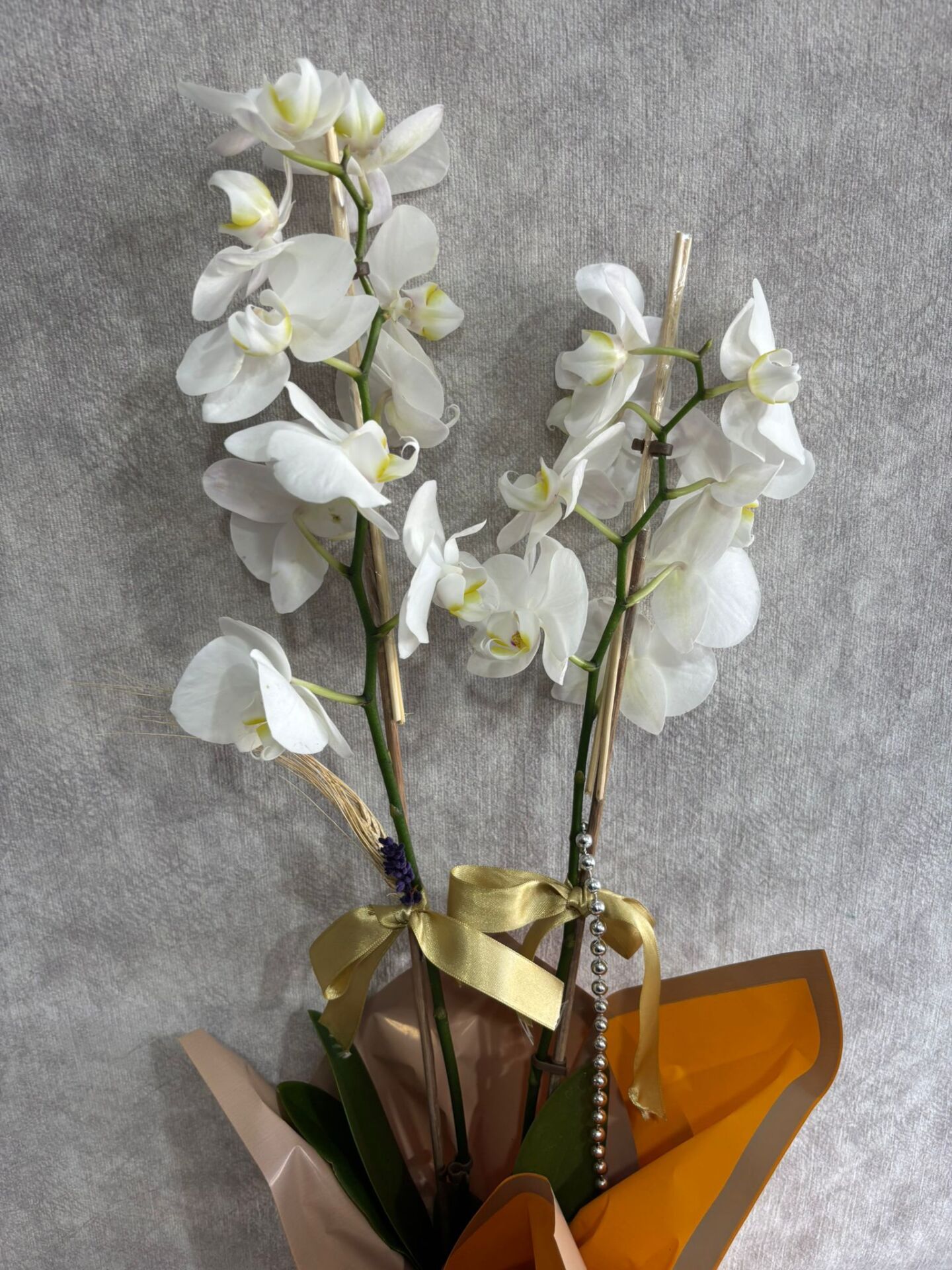 Sarı Renkli Buket Kağıtta 2 Dal Beyaz Orkide Çiçeği