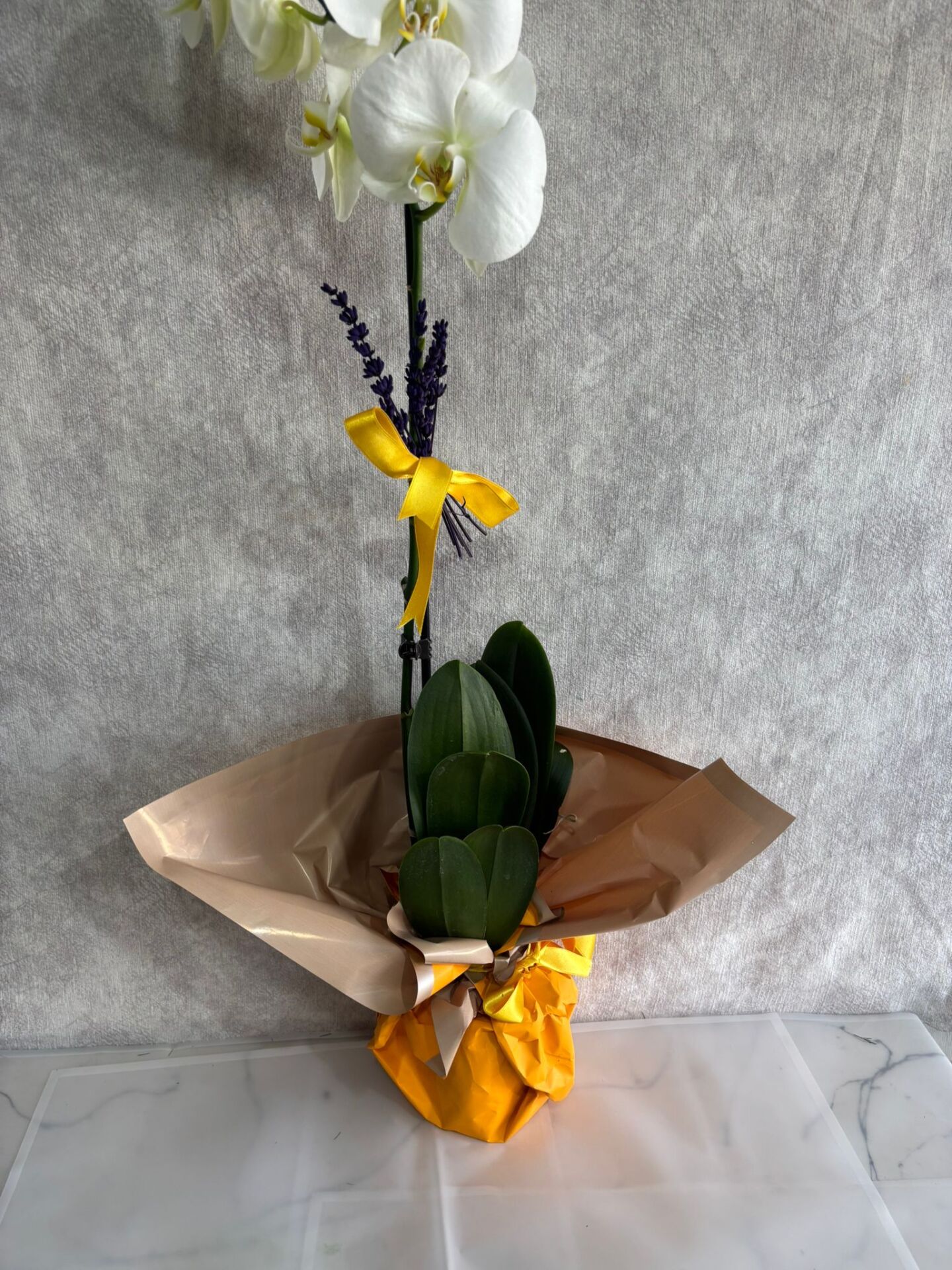 Sarı Renkli Buket Kağıtta Tek Dal Beyaz Orkide Çiçeği