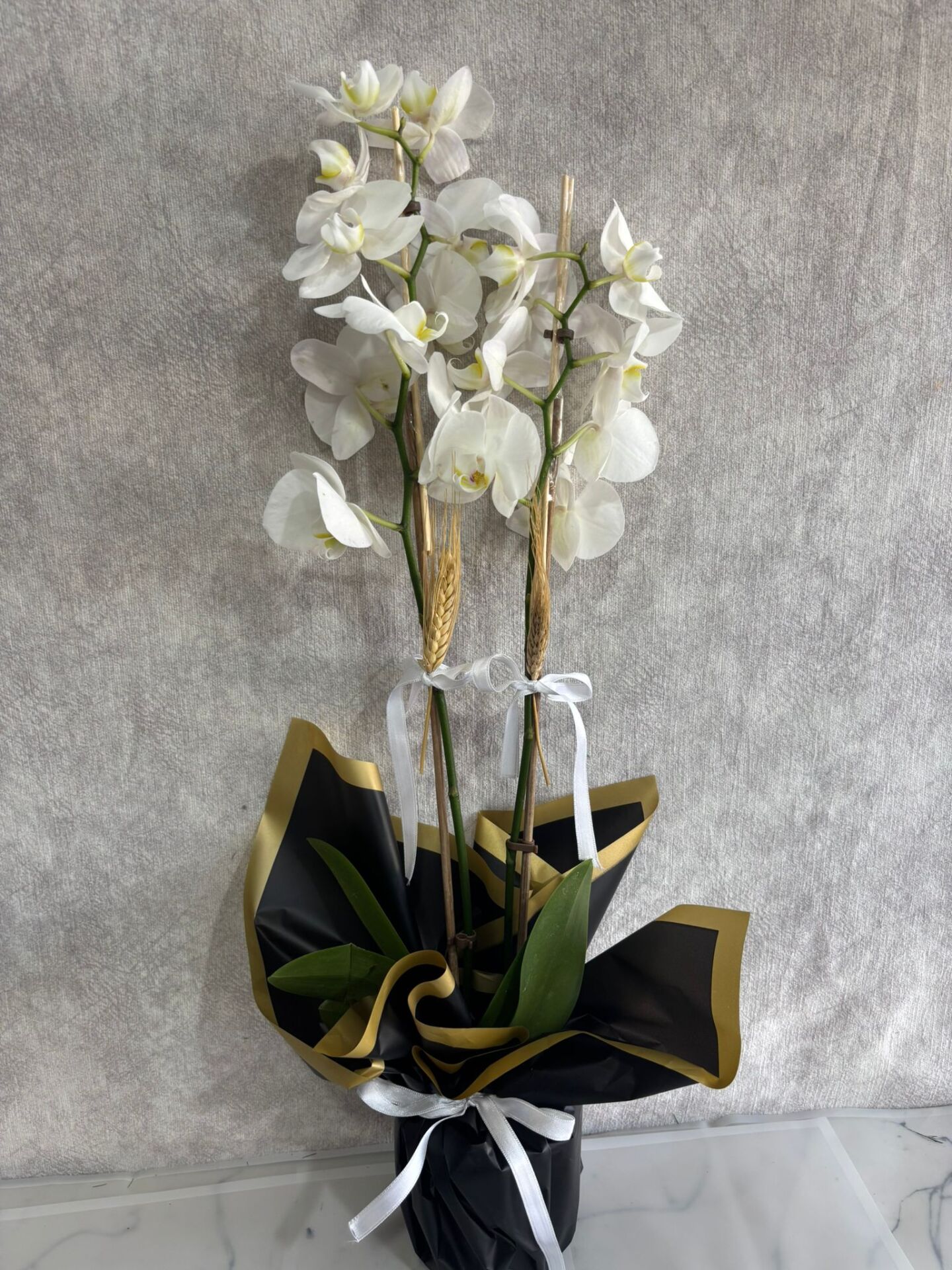 Siyah Renkli Buket Kağıtta 2 Dal Beyaz Orkide Çiçeği