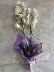 Mor Desenli Renkli Buket Kağıtta 2 Dal Beyaz Orkide Çiçeği