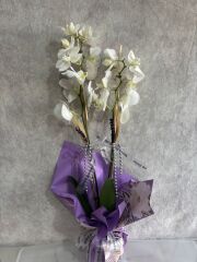Mor Desenli Renkli Buket Kağıtta 2 Dal Beyaz Orkide Çiçeği