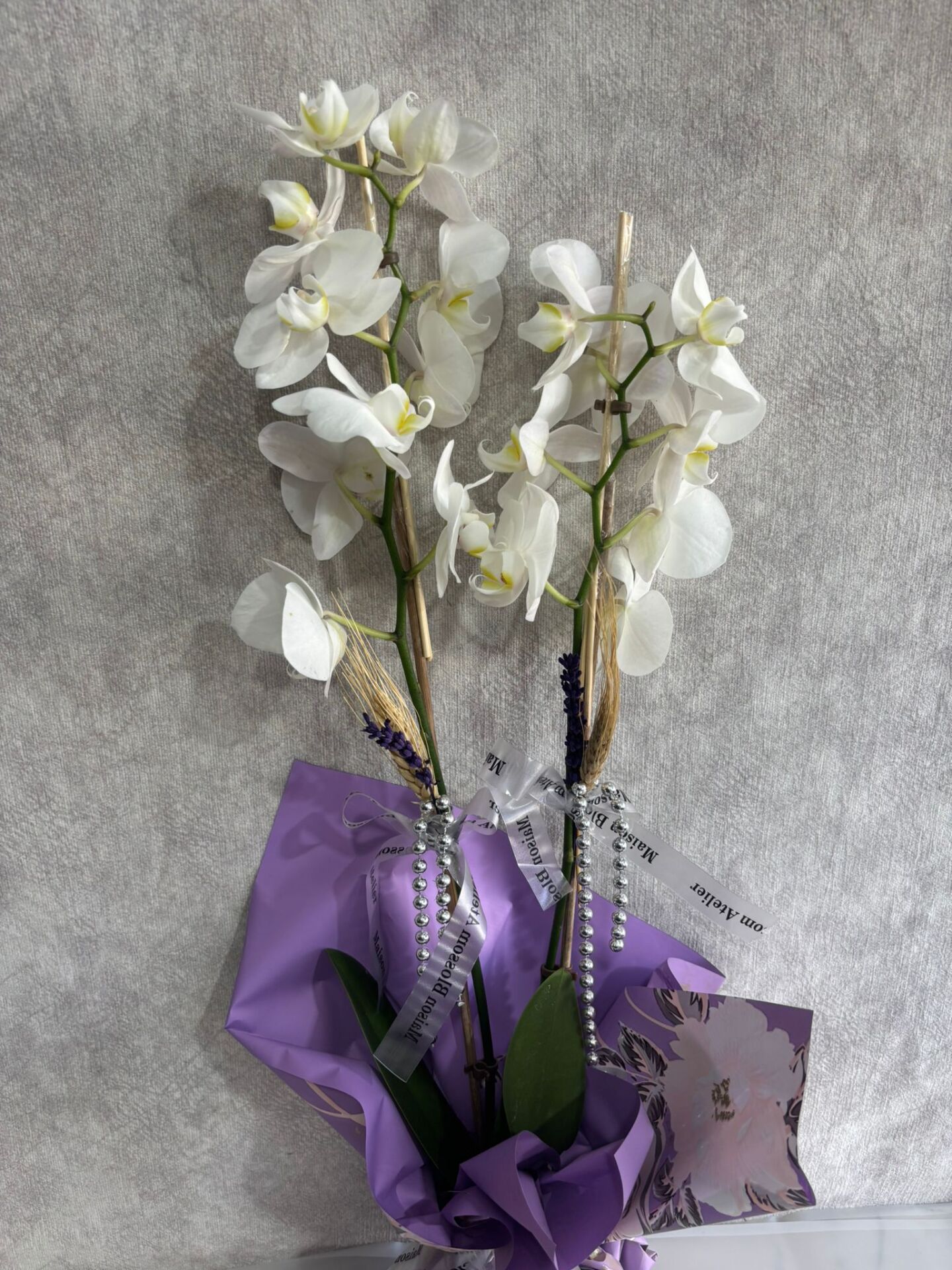 Mor Desenli Renkli Buket Kağıtta 2 Dal Beyaz Orkide Çiçeği