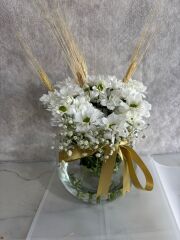 Akvaryum Cam Vazoda Beyaz Papatya Çiçeği