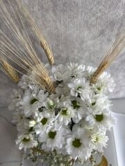 Akvaryum Cam Vazoda Beyaz Papatya Çiçeği