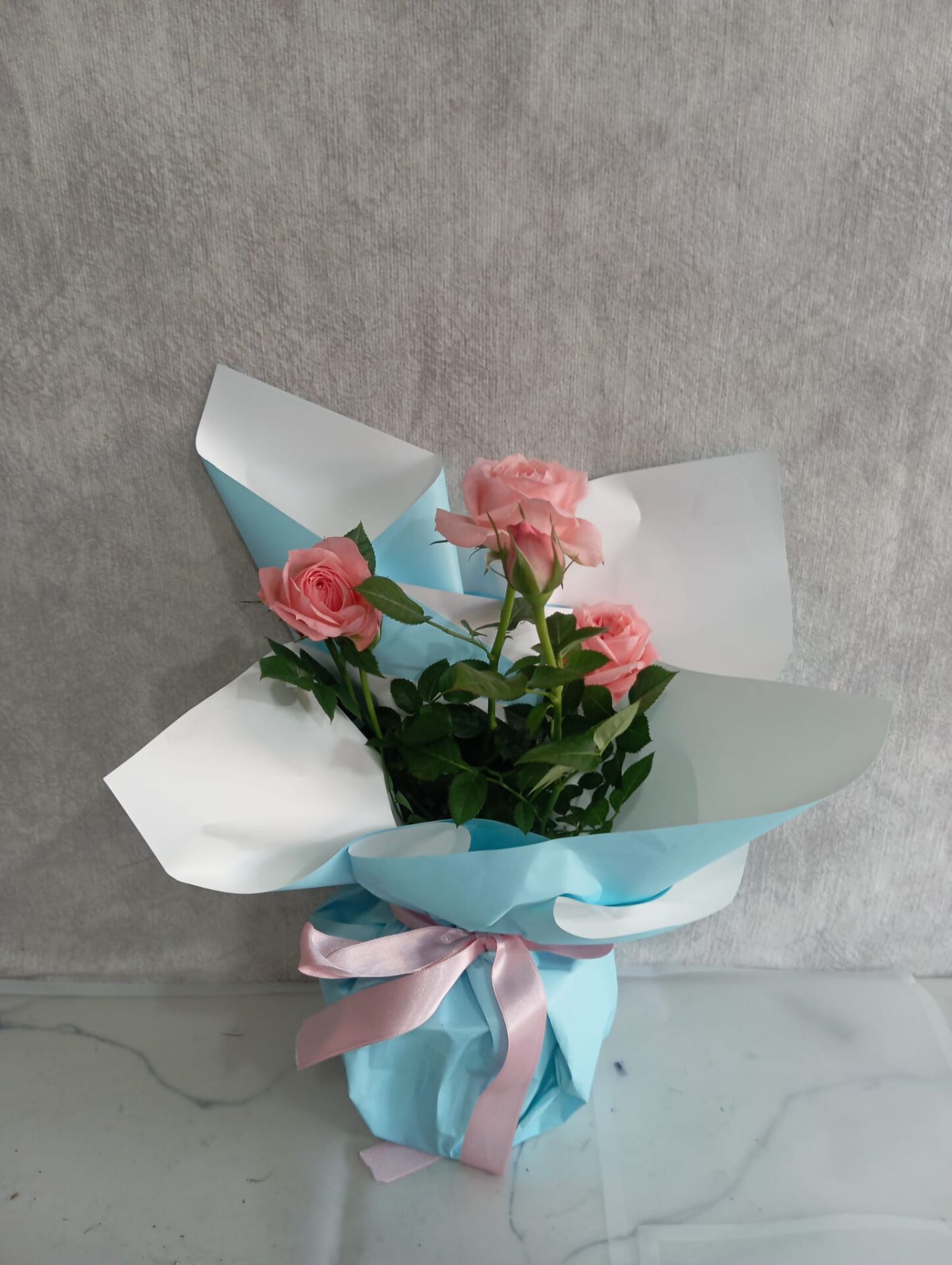 Mavi Buket Kağıdında Saksıda Pembe Çardak Güller