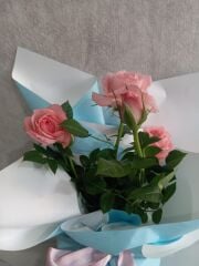 Mavi Buket Kağıdında Saksıda Pembe Çardak Güller