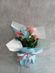 Mavi Buket Kağıdında Saksıda Pembe Çardak Güller