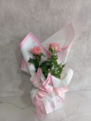 Desenli Buket Kağıtta Saksıda Pembe Çardak Güller