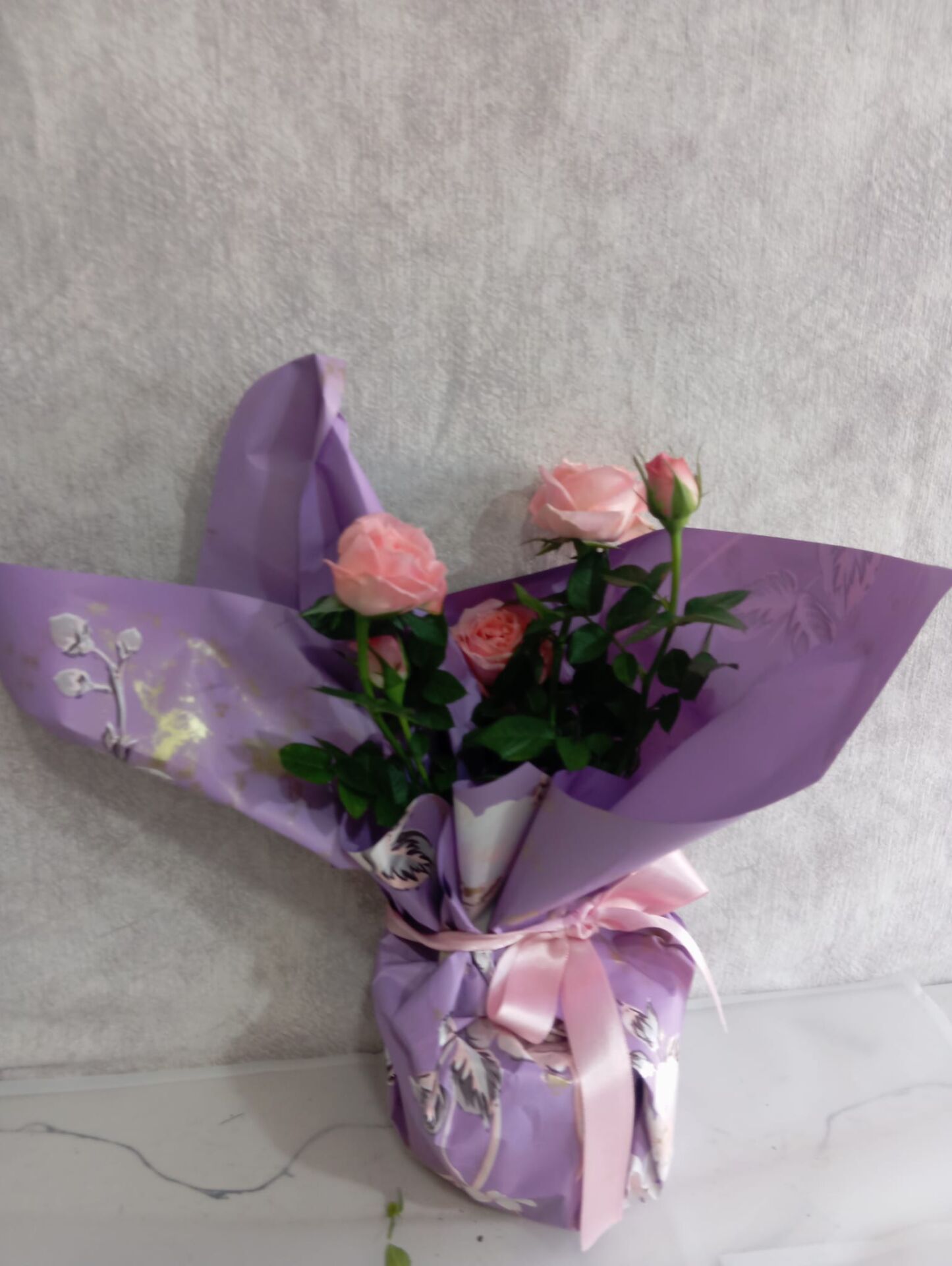 Mor Desenli Buket Kağıdında Saksıda Pembe Çardak Güller