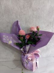 Mor Desenli Buket Kağıdında Saksıda Pembe Çardak Güller