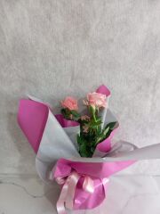 Saksıda Pembe Çardak Güller