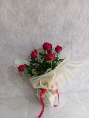 Leopar Desenli Buket Kağıdında Saksıda Kırmızı Güller