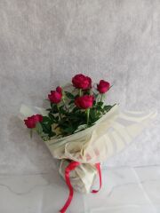 Leopar Desenli Buket Kağıdında Saksıda Kırmızı Güller