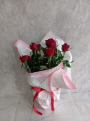 Desenli Buket Kağıdında Saksıda Kırmızı Güller