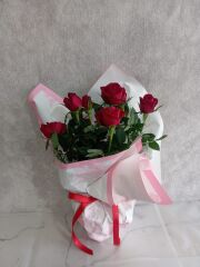 Desenli Buket Kağıdında Saksıda Kırmızı Güller