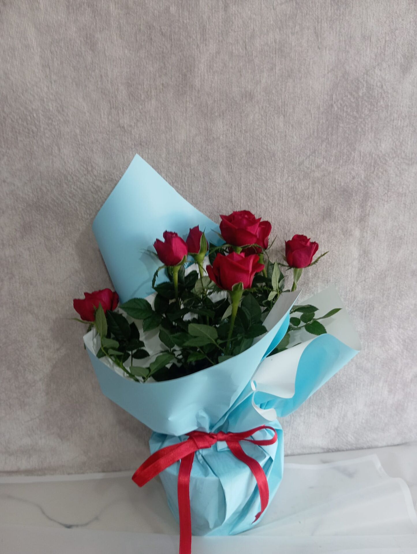 Mavi Buket Kağıdında Saksıda Kırmızı Güller Adana çiçek