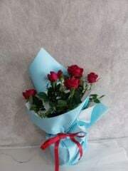 Mavi Buket Kağıdında Saksıda Kırmızı Güller Adana çiçek