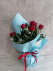 Mavi Buket Kağıdında Saksıda Kırmızı Güller