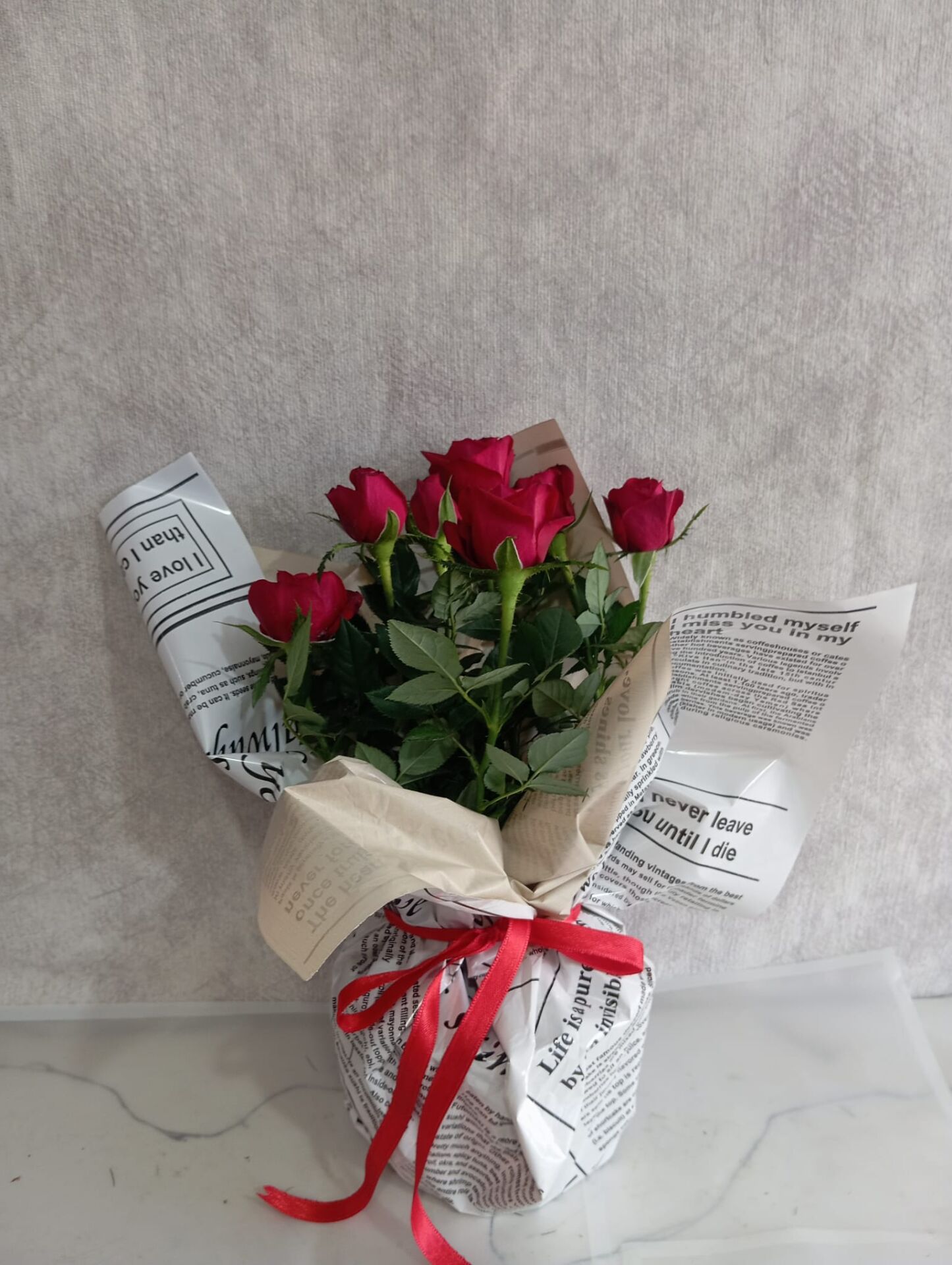 Gazete Kağıdında Saksıda Kırmızı Güller