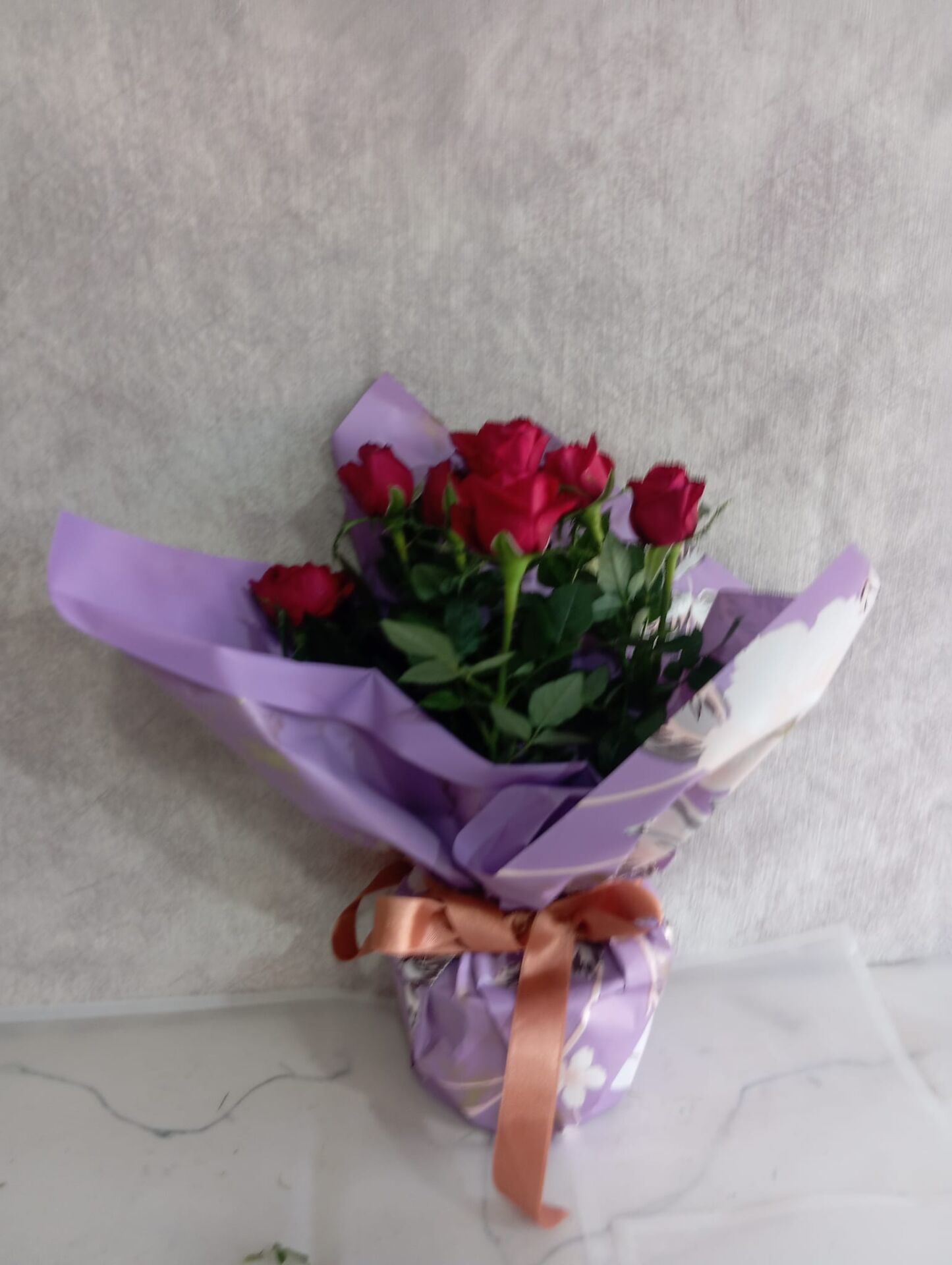 Mor Desenli Kağıtta Saksıda Kırmızı Güller