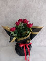 Siyah Kağıtta Saksıda Kırmızı Güller