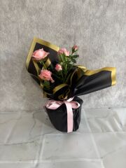 Siyah Buket Kağıtta Saksıda Pembe Çardak Güller