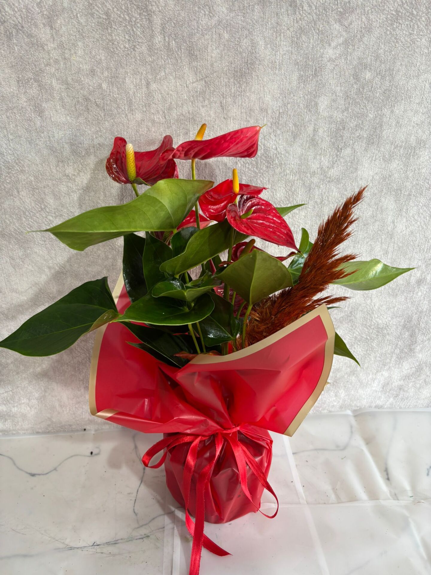 Kırmızı Buket Kağıtta Antoryum Çiçeği
